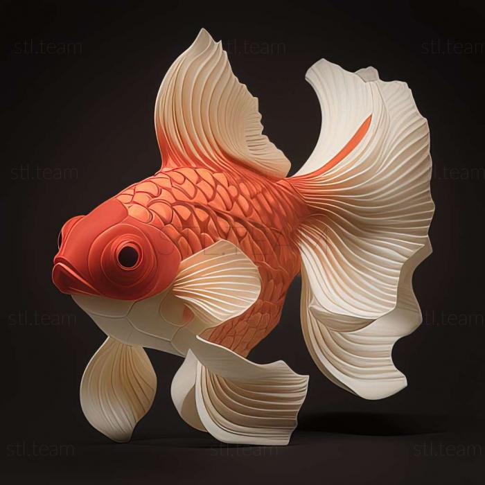 Red and white oranda fish